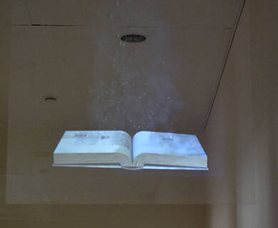 Biblioteca Teste Fiorite